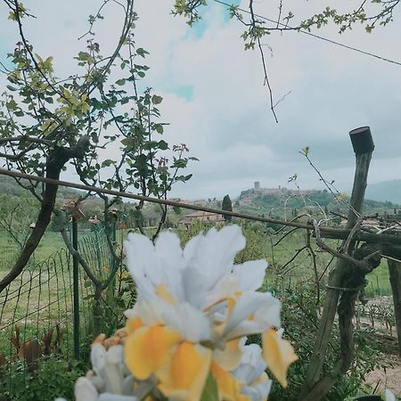 I Castagnini Lejlighed Montecatini Val di Cecina Eksteriør billede
