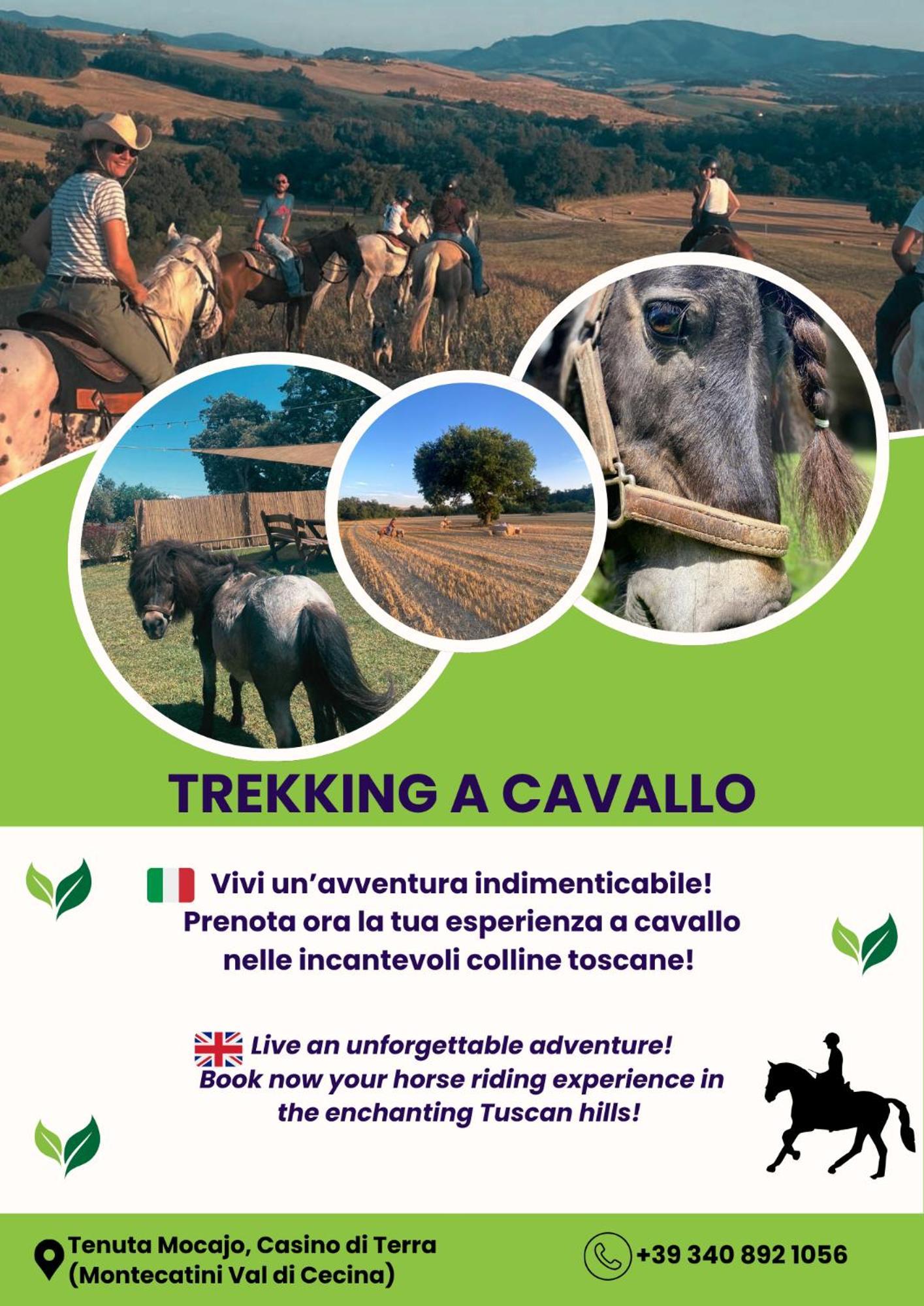 I Castagnini Lejlighed Montecatini Val di Cecina Eksteriør billede