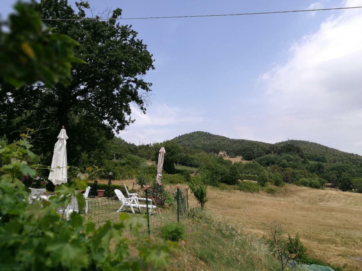 I Castagnini Lejlighed Montecatini Val di Cecina Eksteriør billede