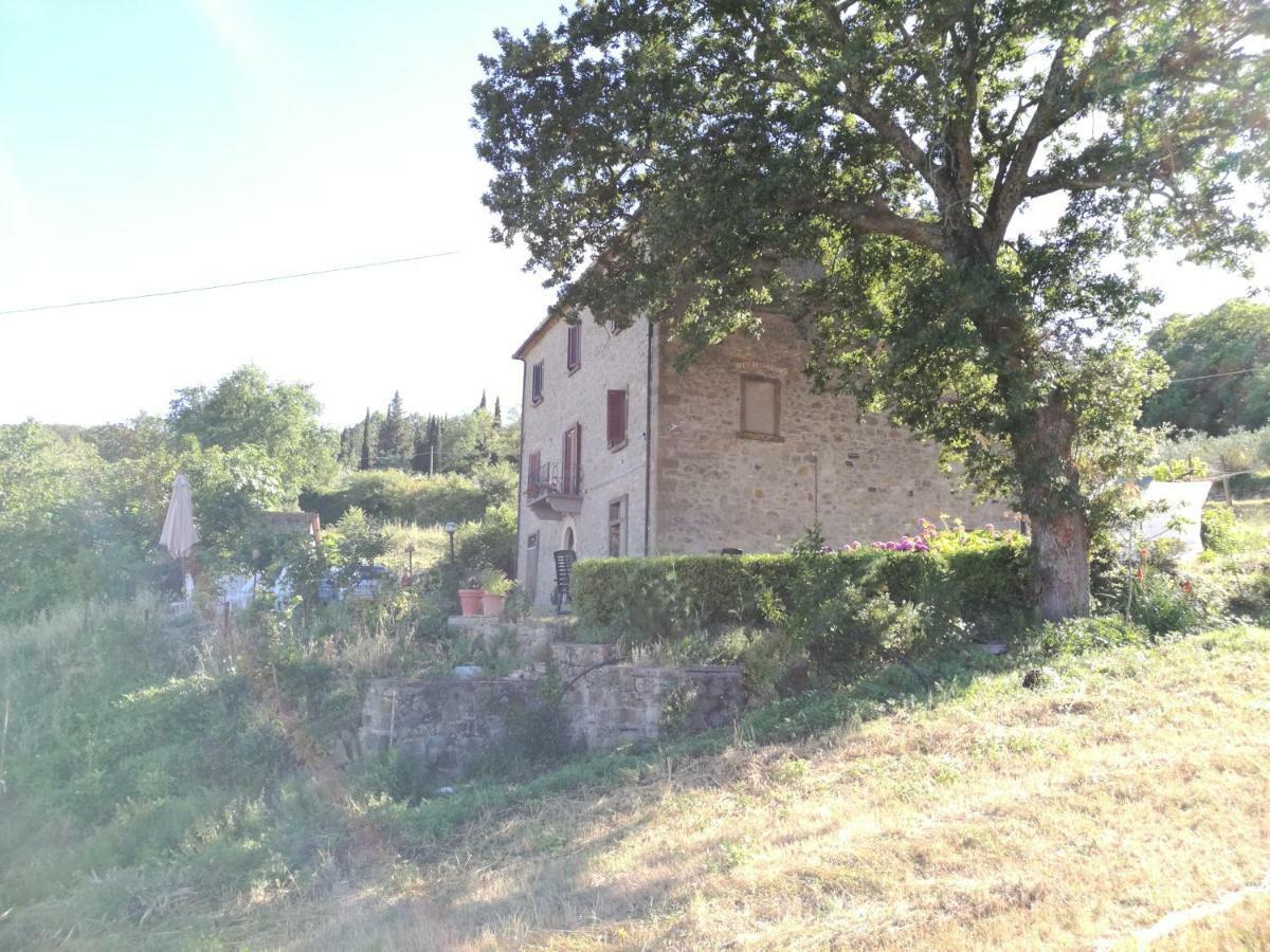 I Castagnini Lejlighed Montecatini Val di Cecina Eksteriør billede