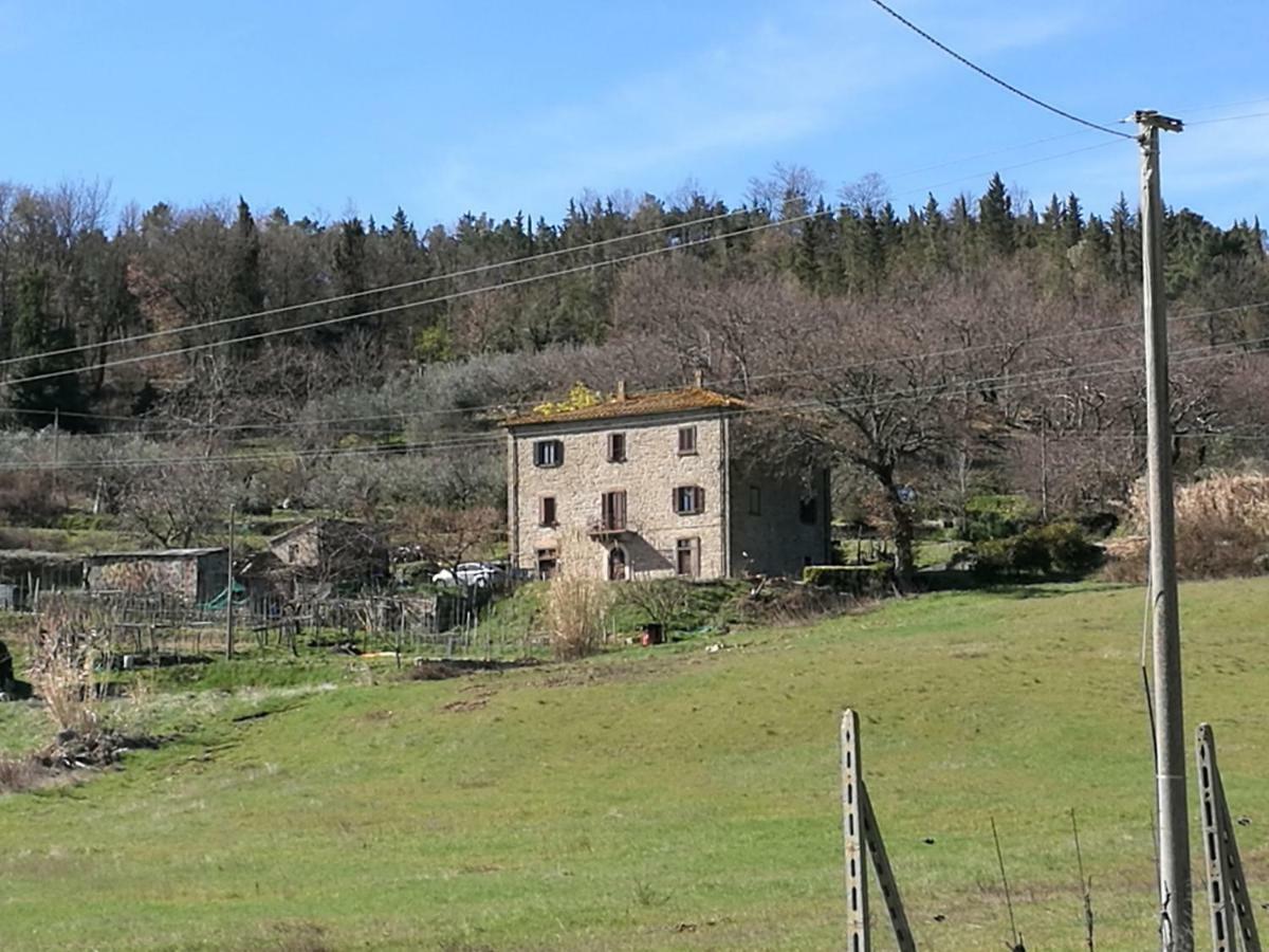 I Castagnini Lejlighed Montecatini Val di Cecina Eksteriør billede